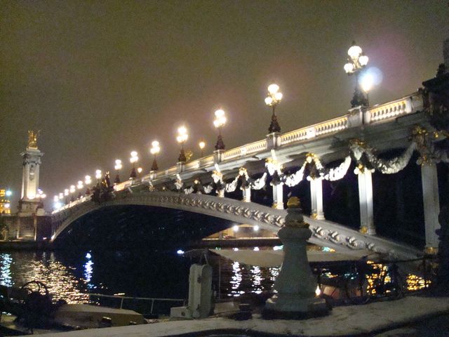 Pont Alexandre III, de nuit - Paris en photos