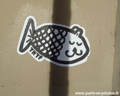 collage poisson-chat