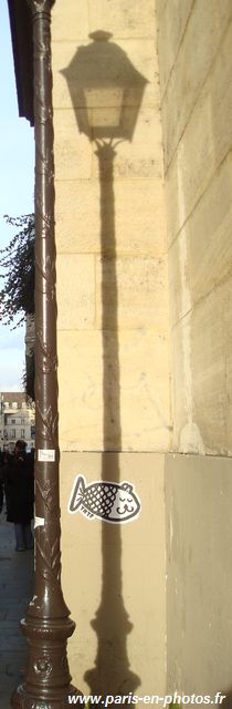 collage poisson-chat