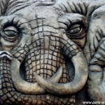 Enigme de l'éléphant