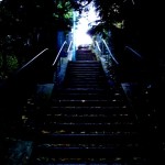 Escaliers au Parc de Belleville